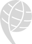 Coe-Rexecode